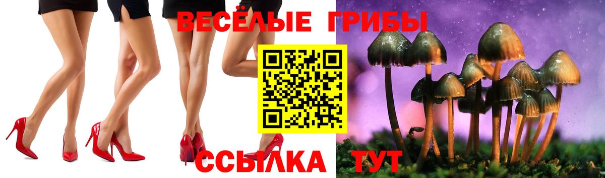 как найти закладки  Вход с VPN  Мытищи  Галлюциногенные грибы Cubensis  Галлюциногенные грибы Psilocybine cubensis 